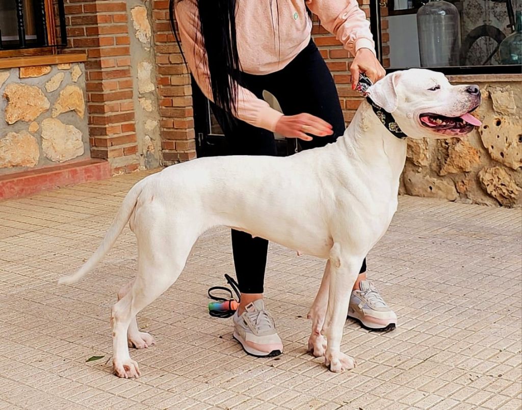 Soledad del Pachanka