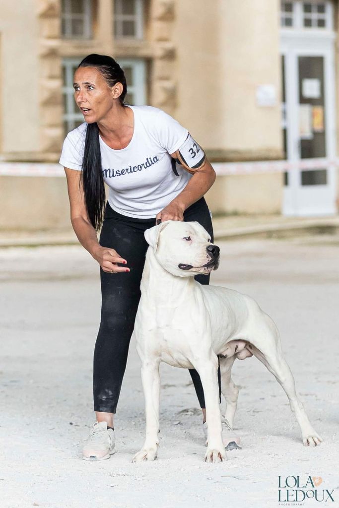 Dogo del Pachanka
